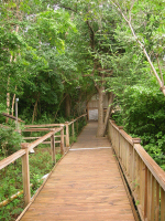 Maho Bay Camps walkway, Jan 2002