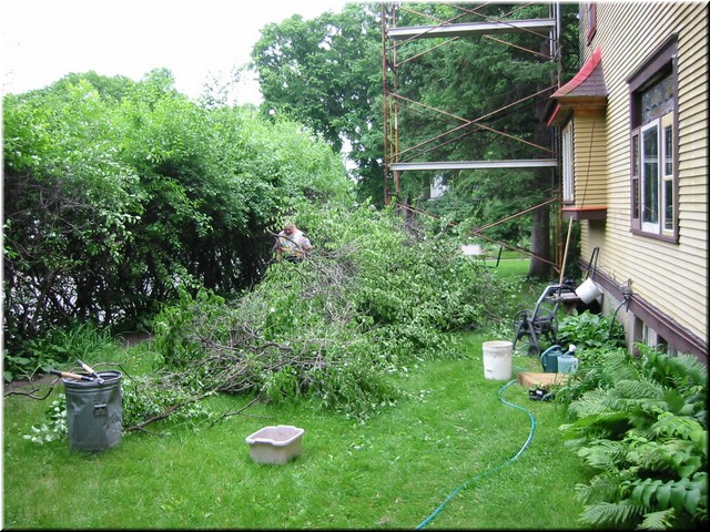 ns-2002jun-brushpile.JPG