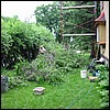 ns-2002jun-brushpile.JPG