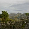 Driving to Granada we saw a lot of scenery like this.