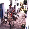 Here's the stepped shortcut from the top (I think). The mule is probably taking supplies to a bar further up the hill.