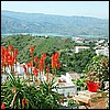 Lake Vinuela can just be glimpsed from Canillas de Aceituno. Or maybe this is the town of Vinuela. Whatever.