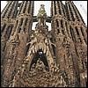 We're zooming in on the nativity facade - an earth day riot of plants, animals, angels and the Holy Family.