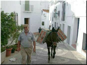 Frigiliana - Main Street in the old town - the only driving street in the old town (note lack of steps).