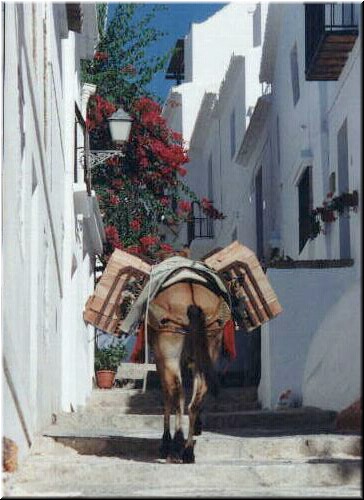Frigiliana, old town. Typical stepped street. This explains all the mules.