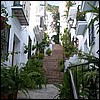 Old Frigiliana - plants are everywhere