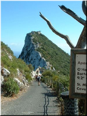 We walked along this very trail, and up to the ruins of an old Moorish watch station (I think that's it on the peak)