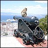 Another fine photo op. It's a good thing this mischievous ape doesn't know how to load the cannon.