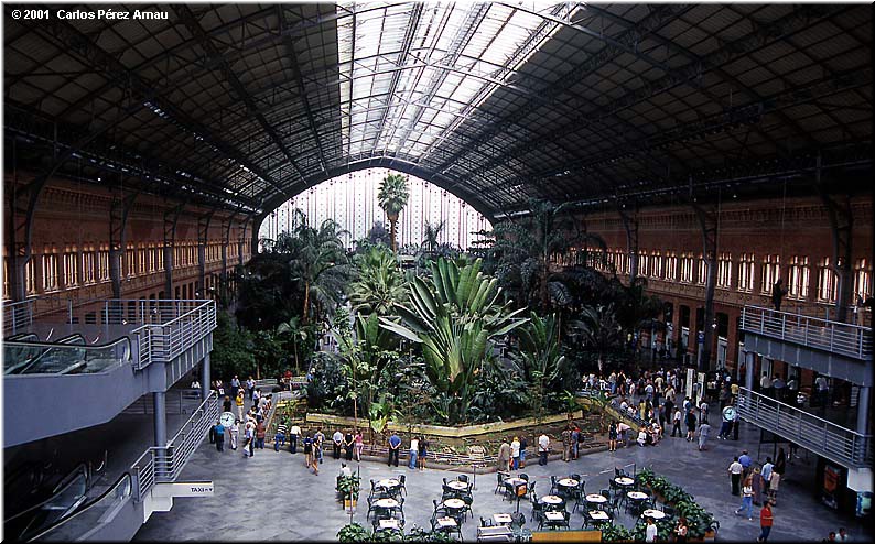 Inside the Atocha Train Station - yes, that's a gigantic tropical garden in the middle, complete with turtle pool